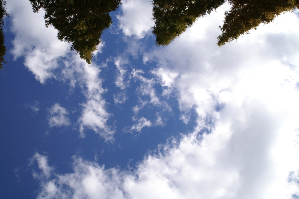 空を見上げて３