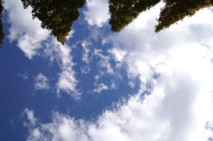 空を見上げて３