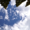 空を見上げて３