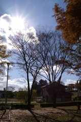 秋の公園２