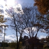 秋の公園２