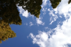 空を見上げて１
