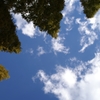 空を見上げて１