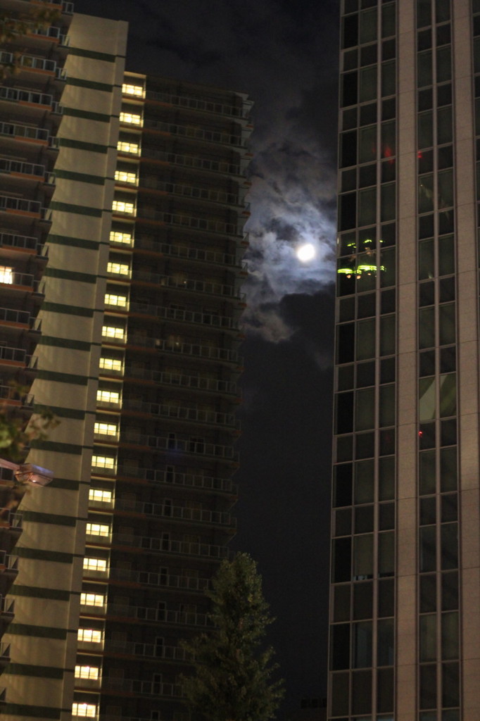 何か出そう！！