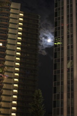 何か出そう！！