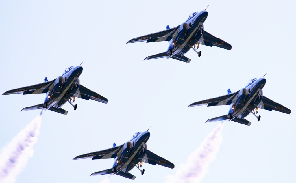 ブルーインパスル