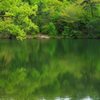 夏日の春