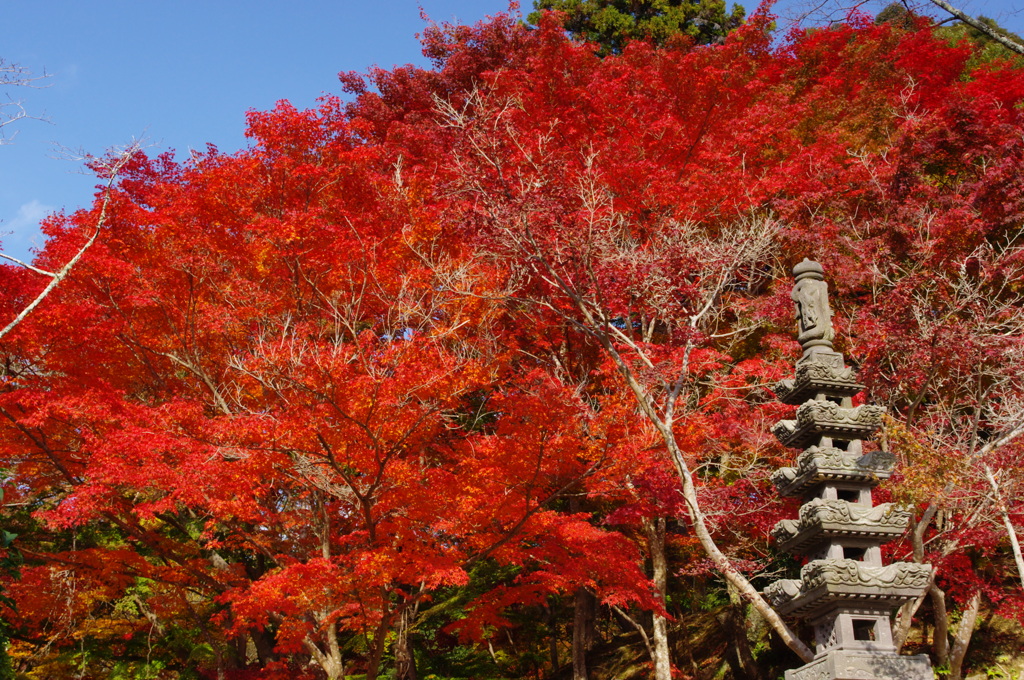 地元の小さなお寺で