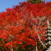 地元の小さなお寺で