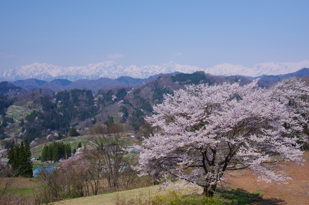 里山の春　２