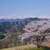 里山の春　２