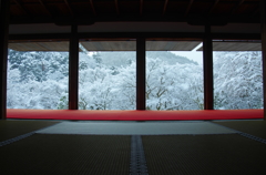 京北の雪