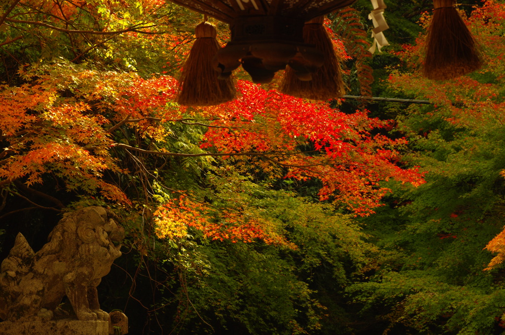地元の小さなお寺で②