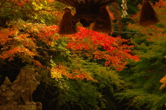 地元の小さなお寺で②
