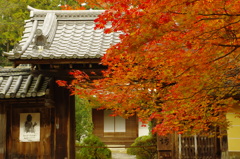 神護寺にて