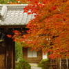 神護寺にて