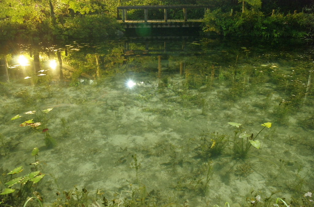 池を巡りて夜もすがら