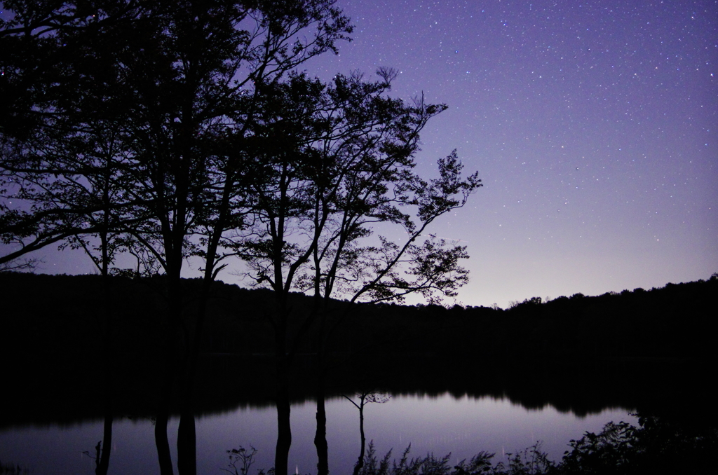 白池の夜