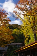 こんな邸宅に住んでみたい(笑)