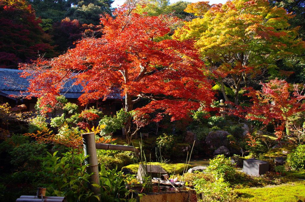 実相院
