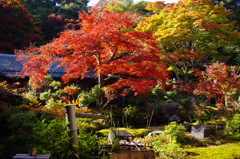 実相院