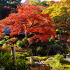 実相院