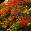 実相院２