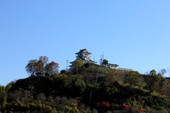 鳥取　河原城