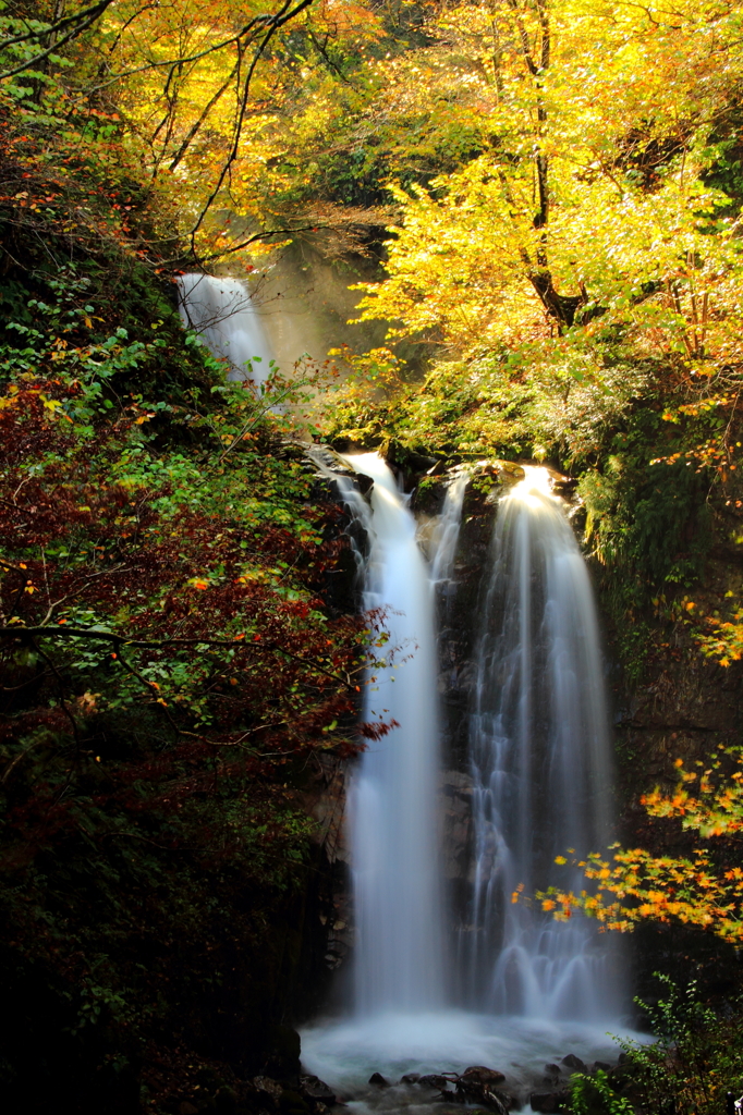 紅葉の滝