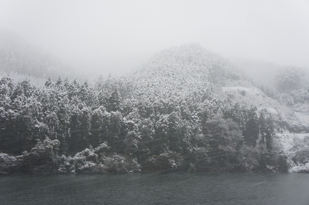 ノーマルタイヤです