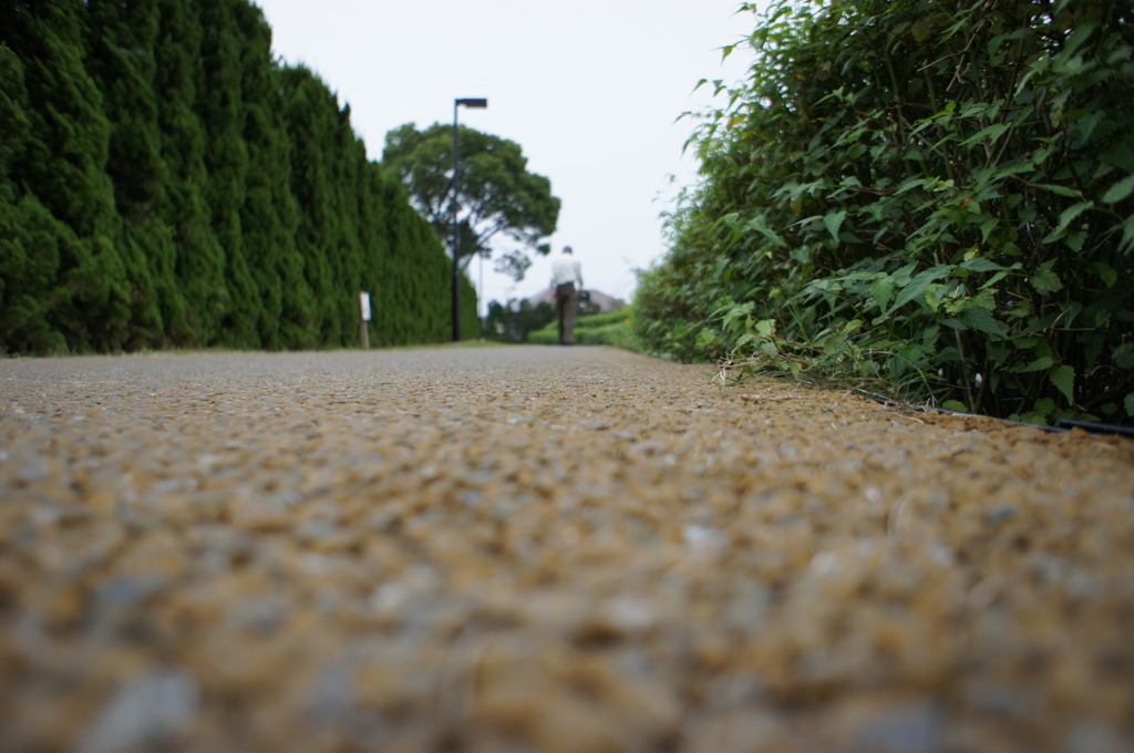 この道をいけば