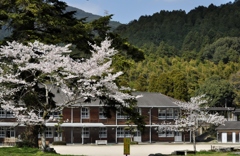 中学校