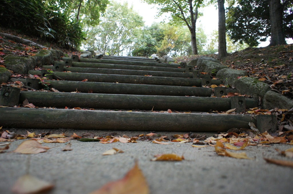落ち葉の階段