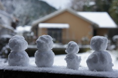 初積雪