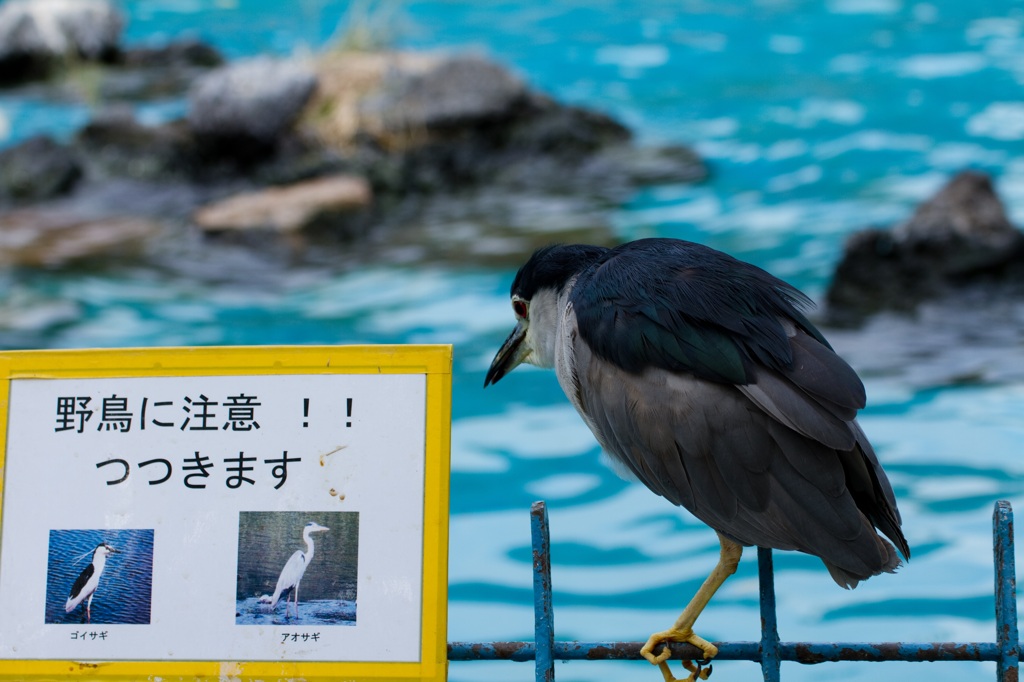 それでも僕はやっていない