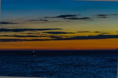 夜釣