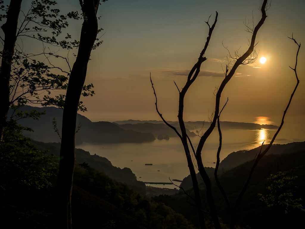 女川湾の朝