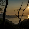 女川湾の朝