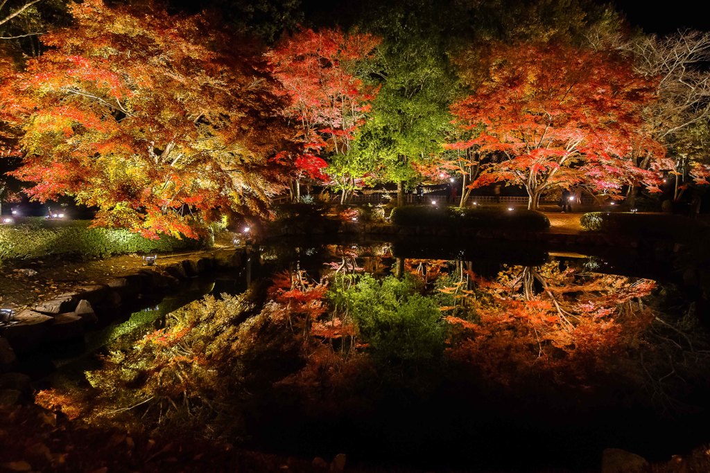 曽木公園の紅葉④