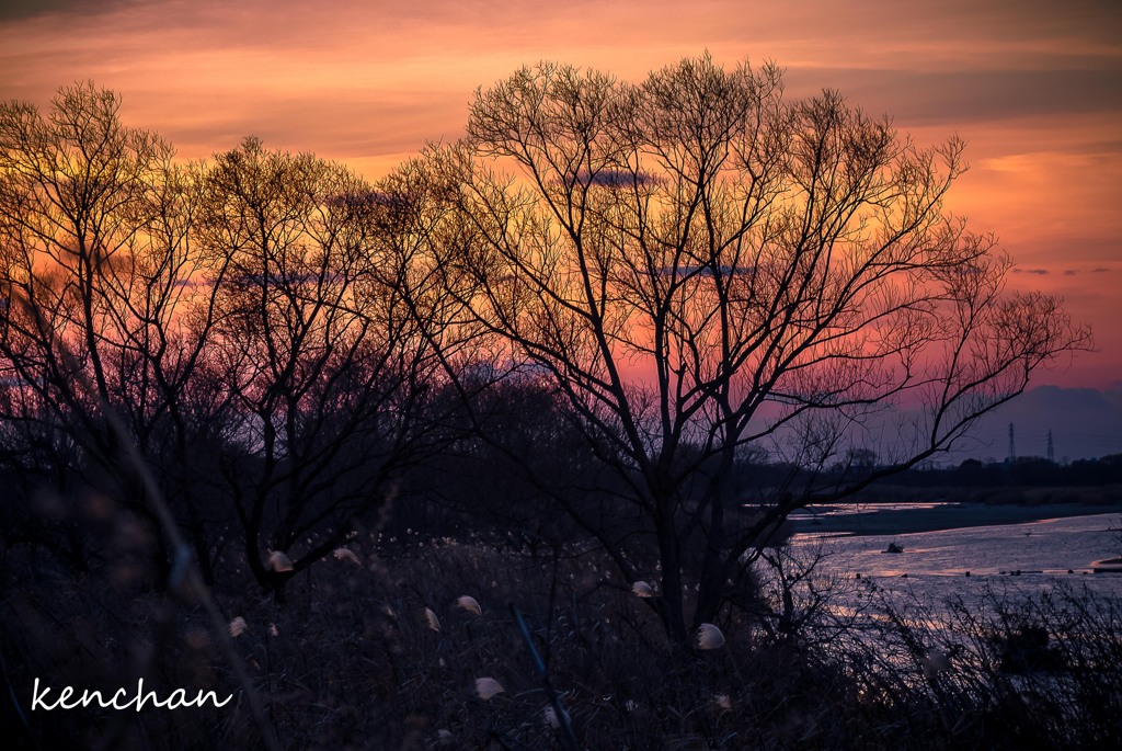 冬の夕景