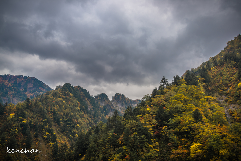 白山スーパー林道6