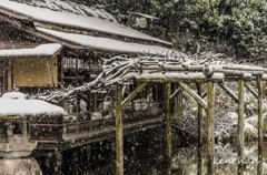三芳庵水亭