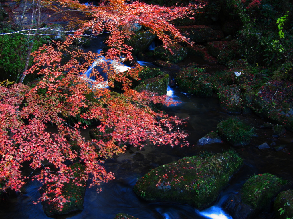 大滝渓谷2009⑪