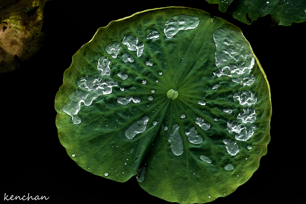 雨上がり