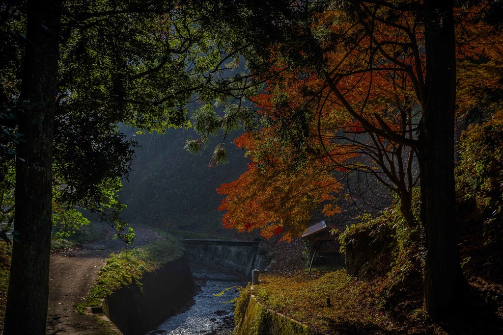 ある晴れた秋の朝