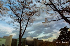 初冬の公園