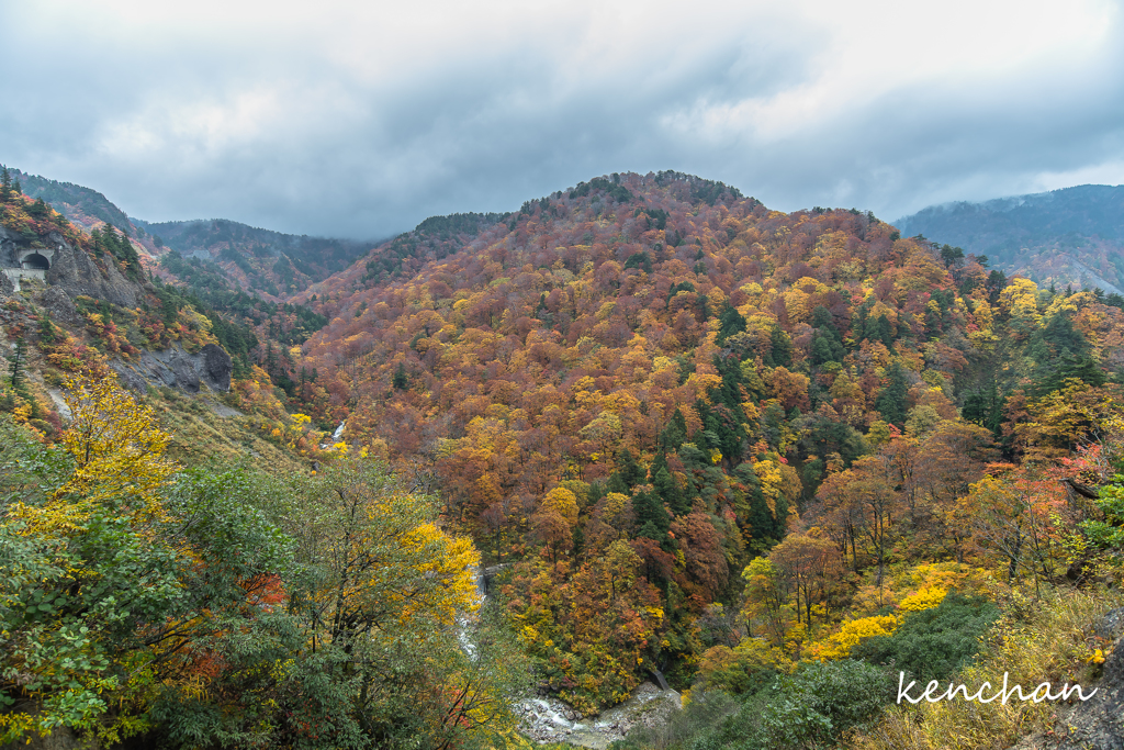 白山スーパー林道3