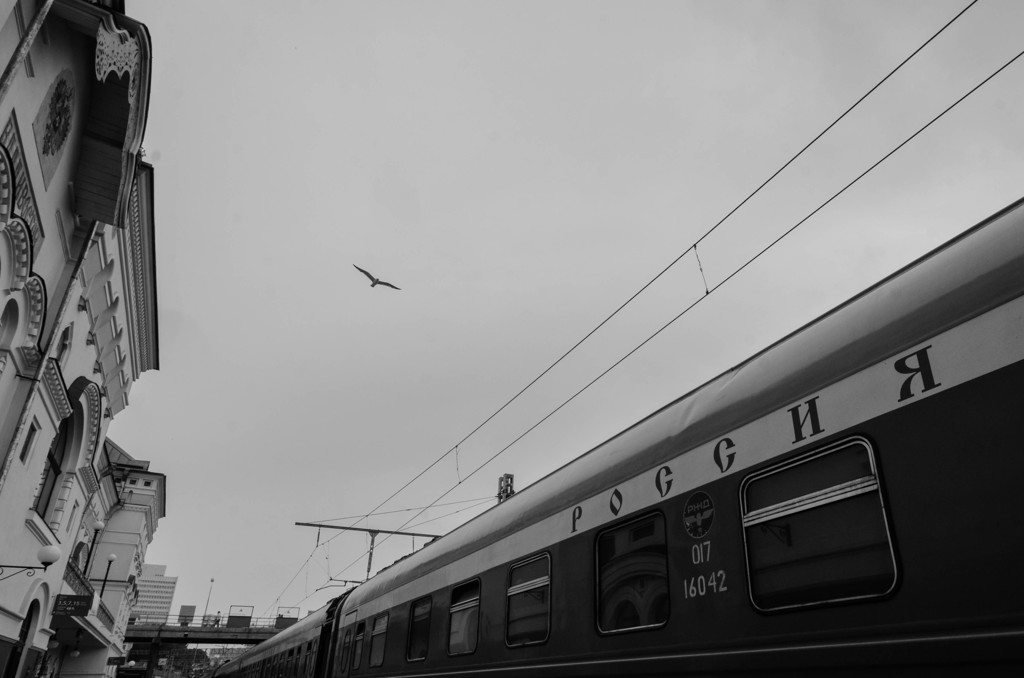 灰色の空を一人行く