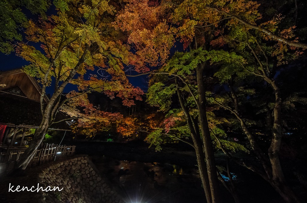 夜の彩り
