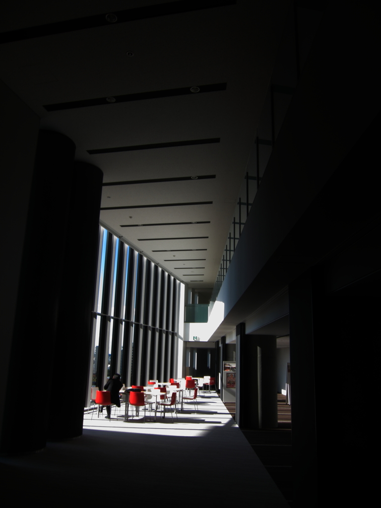 朝日のあたる場所